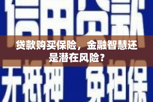 惠济贷款购买保险，金融智慧还是潜在风险？