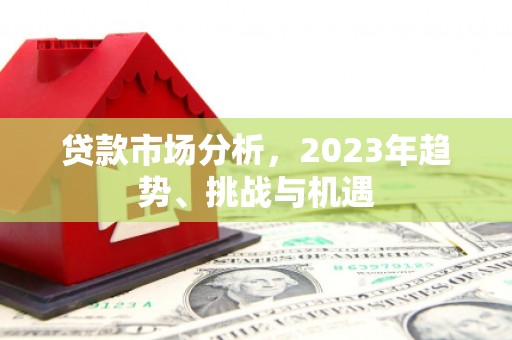 东宝贷款市场分析，2023年趋势、挑战与机遇