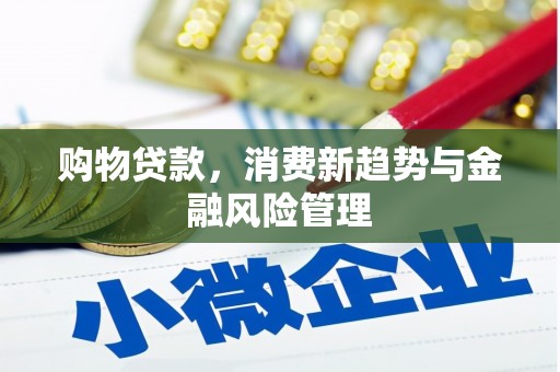 秦皇岛购物贷款，消费新趋势与金融风险管理