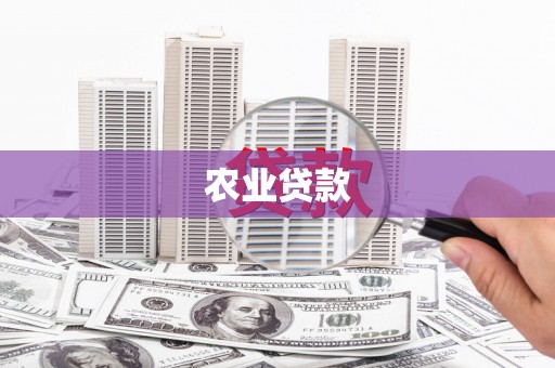 沙坪坝农业贷款