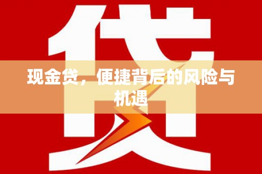 岱岳现金贷，便捷背后的风险与机遇