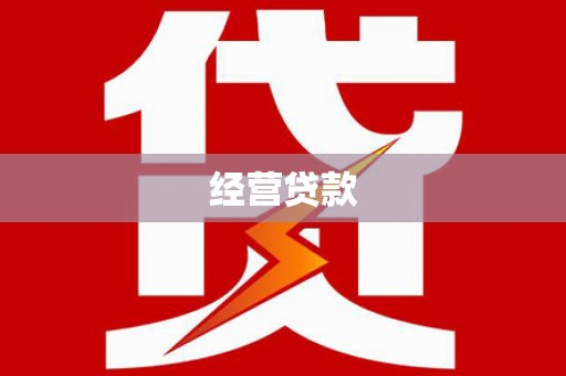 海原经营贷款