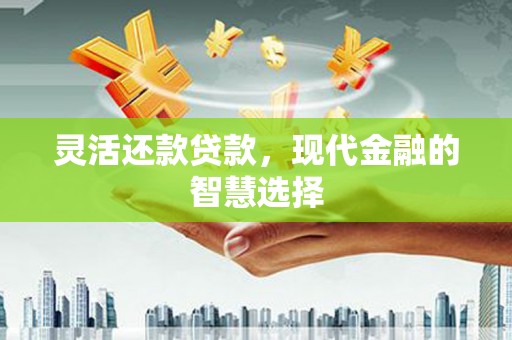 安远灵活还款贷款，现代金融的智慧选择