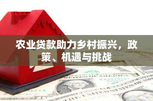 竹东农业贷款助力乡村振兴，政策、机遇与挑战