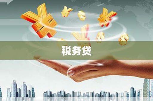 延津税务贷