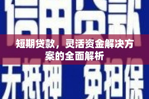 鄯善短期贷款，灵活资金解决方案的全面解析