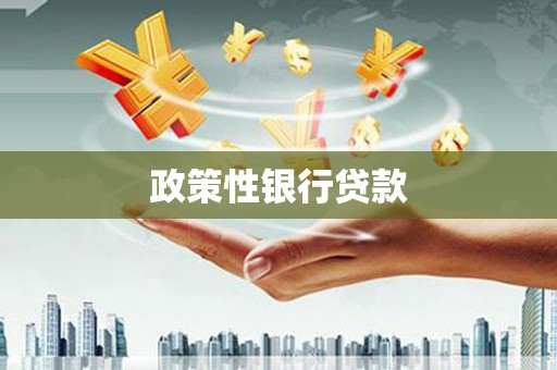 玄武政策性银行贷款