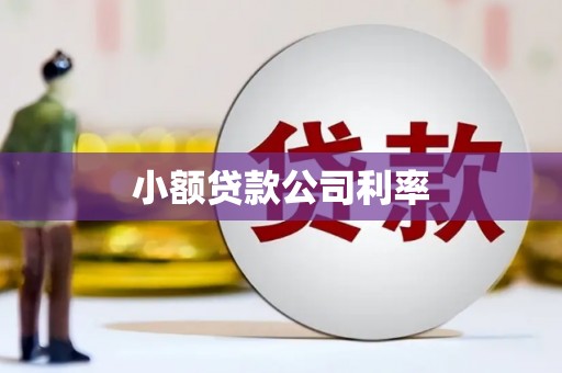福海小额贷款公司利率