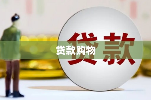 安南贷款购物