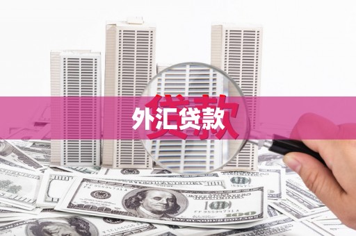 灌阳外汇贷款