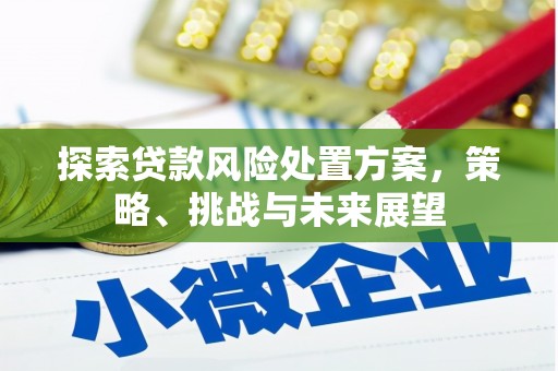 麦寮探索贷款风险处置方案，策略、挑战与未来展望