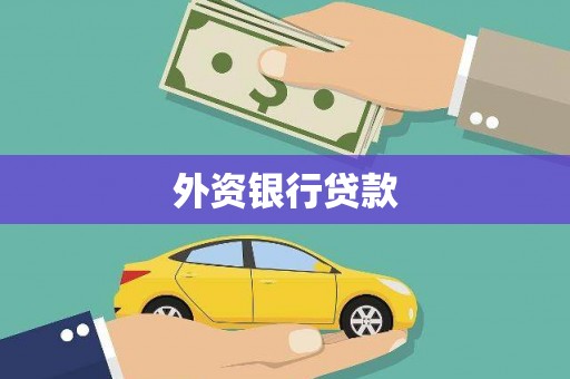 乐东外资银行贷款