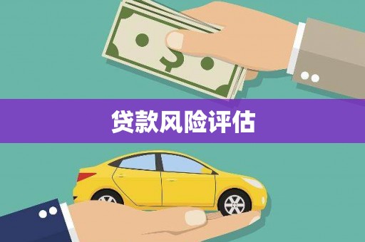 丰滨贷款风险评估