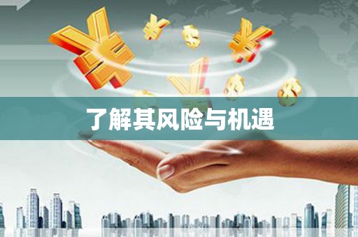 柳南了解其风险与机遇