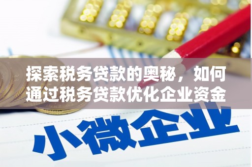 循化探索税务贷款的奥秘，如何通过税务贷款优化企业资金流