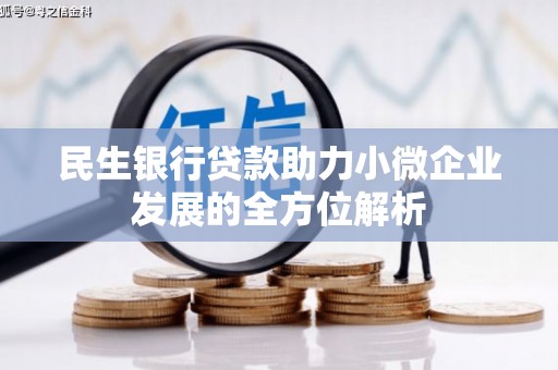 金湾民生银行贷款助力小微企业发展的全方位解析