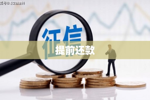 龙游提前还款