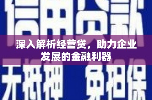 荣县深入解析经营贷，助力企业发展的金融利器