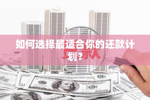 中寮如何选择最适合你的还款计划？
