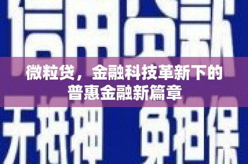 南平微粒贷，金融科技革新下的普惠金融新篇章