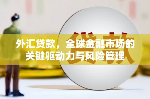 米东外汇贷款，全球金融市场的关键驱动力与风险管理