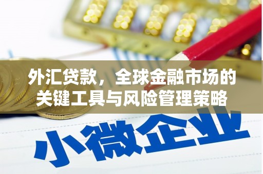 含山外汇贷款，全球金融市场的关键工具与风险管理策略