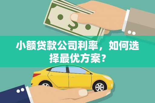 朱家尖小额贷款公司利率，如何选择最优方案？