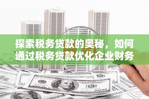 刚察探索税务贷款的奥秘，如何通过税务贷款优化企业财务