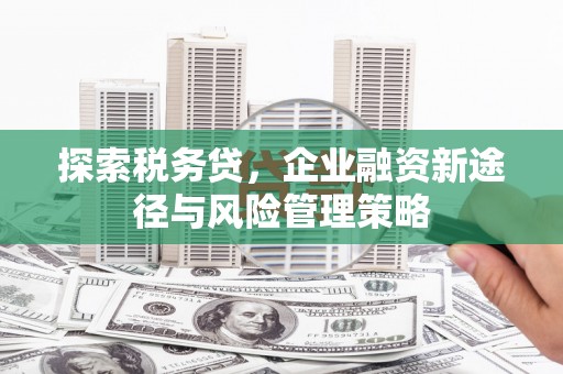 南山探索税务贷，企业融资新途径与风险管理策略