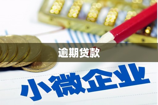 沙雅逾期贷款