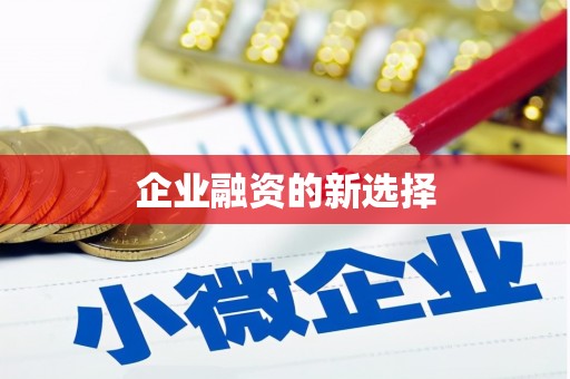 龙陵企业融资的新选择