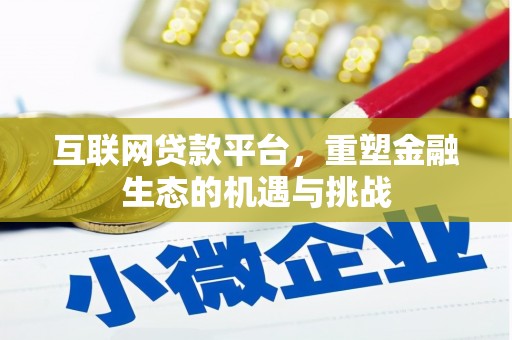 暖暖互联网贷款平台，重塑金融生态的机遇与挑战