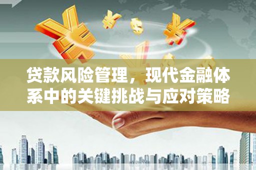 明山贷款风险管理，现代金融体系中的关键挑战与应对策略