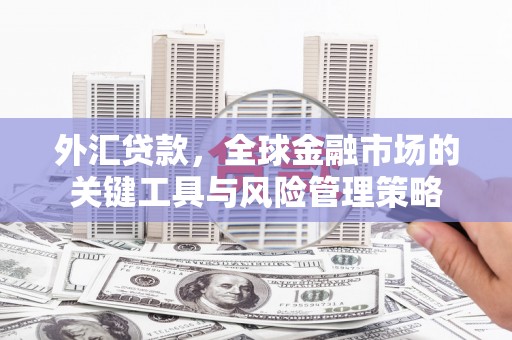 高要外汇贷款，全球金融市场的关键工具与风险管理策略