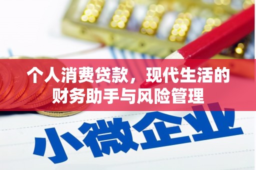 乐清个人消费贷款，现代生活的财务助手与风险管理