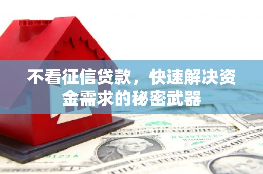 太麻里不看征信贷款，快速解决资金需求的秘密武器