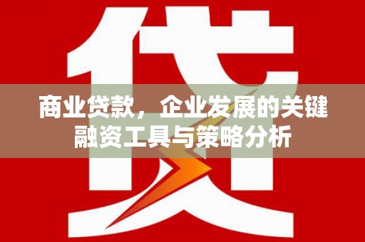 蓬溪商业贷款，企业发展的关键融资工具与策略分析