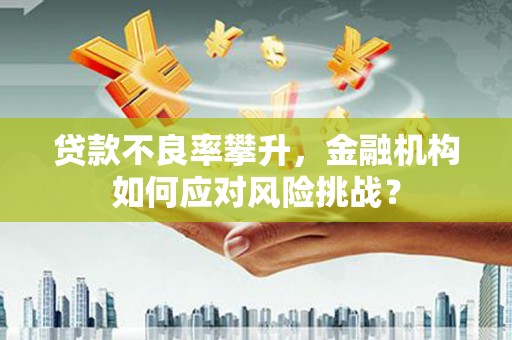 西双版纳贷款不良率攀升，金融机构如何应对风险挑战？
