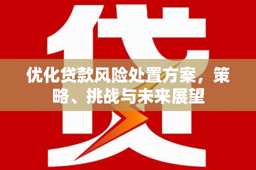 界首优化贷款风险处置方案，策略、挑战与未来展望