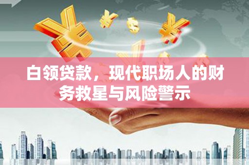 旅顺口白领贷款，现代职场人的财务救星与风险警示