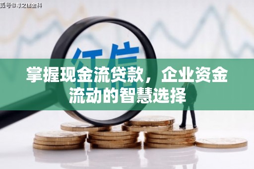 德清掌握现金流贷款，企业资金流动的智慧选择