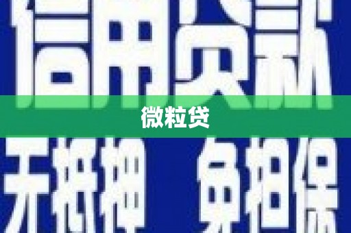 久治微粒贷