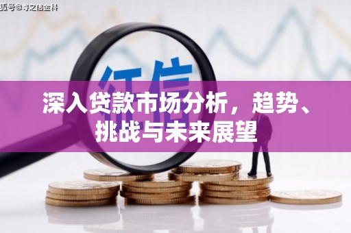 华容深入贷款市场分析，趋势、挑战与未来展望