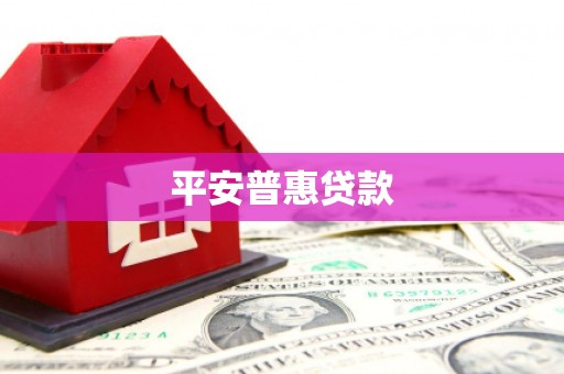 九龙城平安普惠贷款