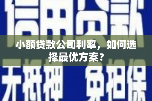 雁塔小额贷款公司利率，如何选择最优方案？