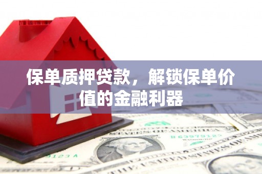 郊区保单质押贷款，解锁保单价值的金融利器
