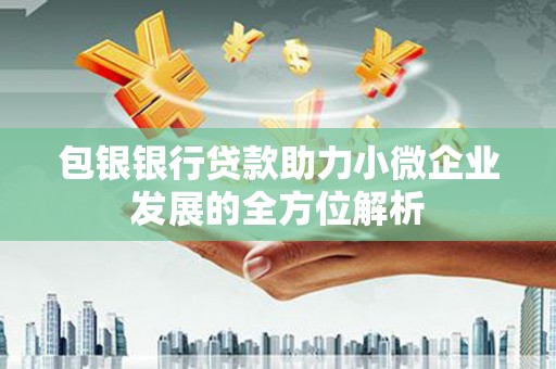 田中包银银行贷款助力小微企业发展的全方位解析