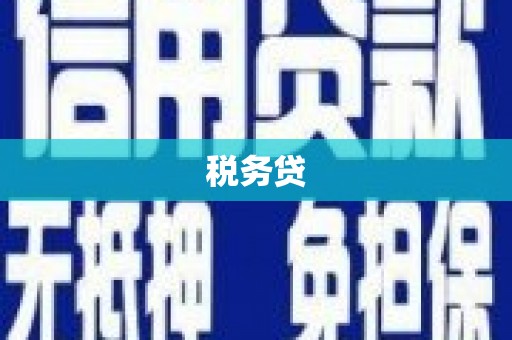 万全税务贷