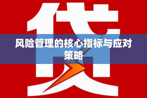 马公风险管理的核心指标与应对策略