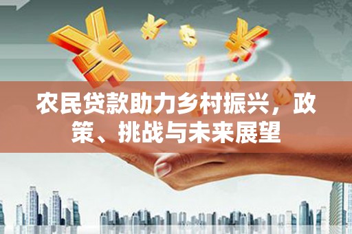 平和农民贷款助力乡村振兴，政策、挑战与未来展望